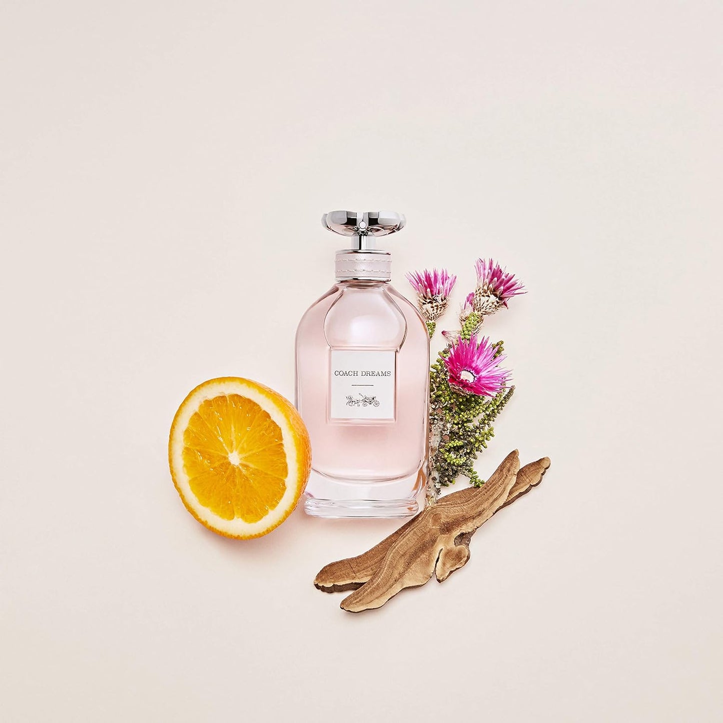 Coach Dreams by Coach Eau De Parfum Spray 3 fl.oz.