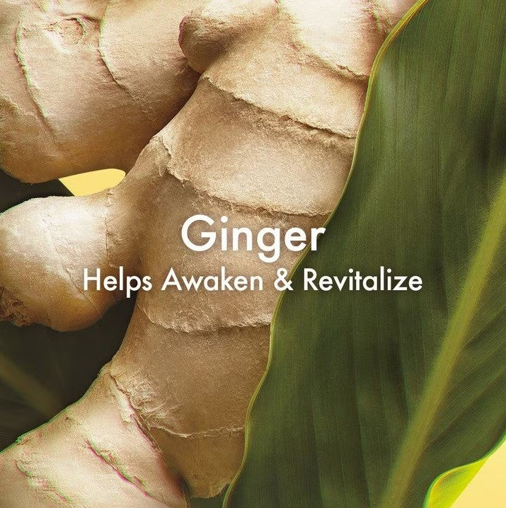 Ginger Body Scrub by Origins for Unisex - 21.2 oz Scrub