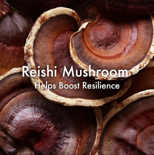 Mega-Mushroom Skin Relief Micellar Cleanser by Origins for Unisex - 6.7 oz Cleanser