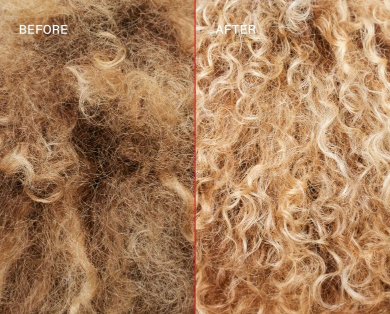 No 5P Blonde Enhacer Toning Conditioner by Olaplex for Unisex - 33.81 oz Conditioner