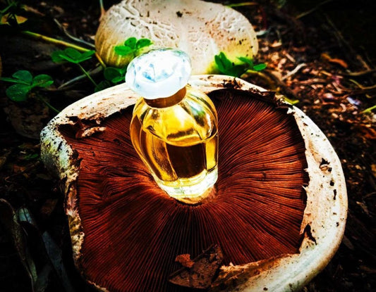 So de la Renta by Oscar De La Renta for Women - 3.4 oz EDT Spray