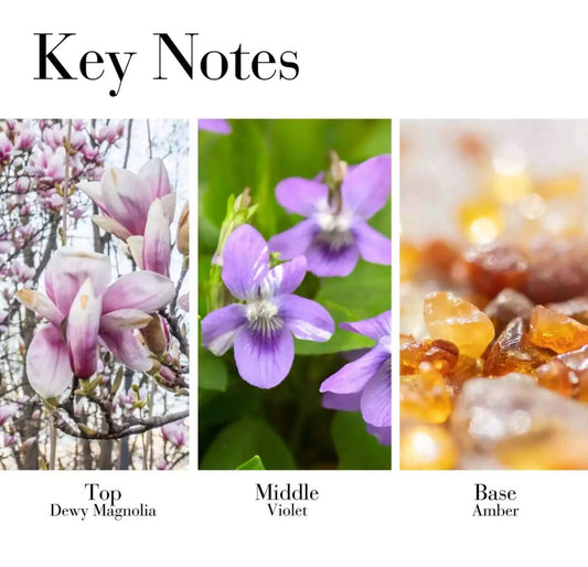 5th Avenue by Elizabeth Arden Eau De Parfum Spray 2.5 fl.oz.