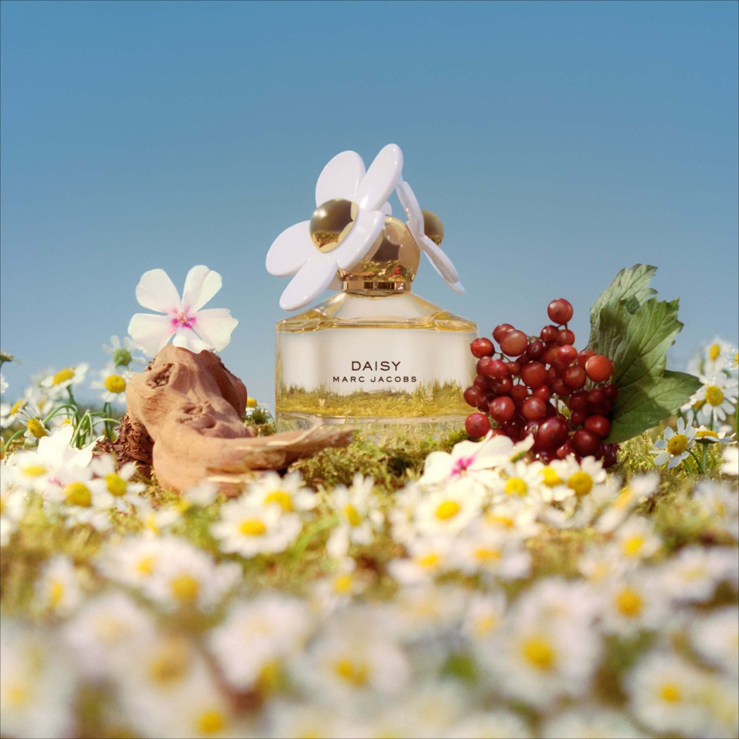 Daisy by Marc Jacobs Eau De Toilette Spray 3.4 oz